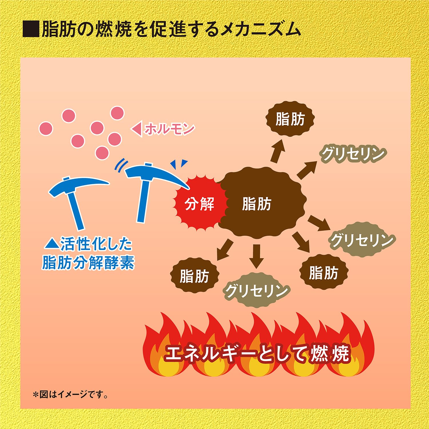 고바야시 제약의 영양 보조 식품 나이시 헬프【내장 지방 대책】【배의 지방 대책】블랙 생강 지방 연소 대책 서프리
