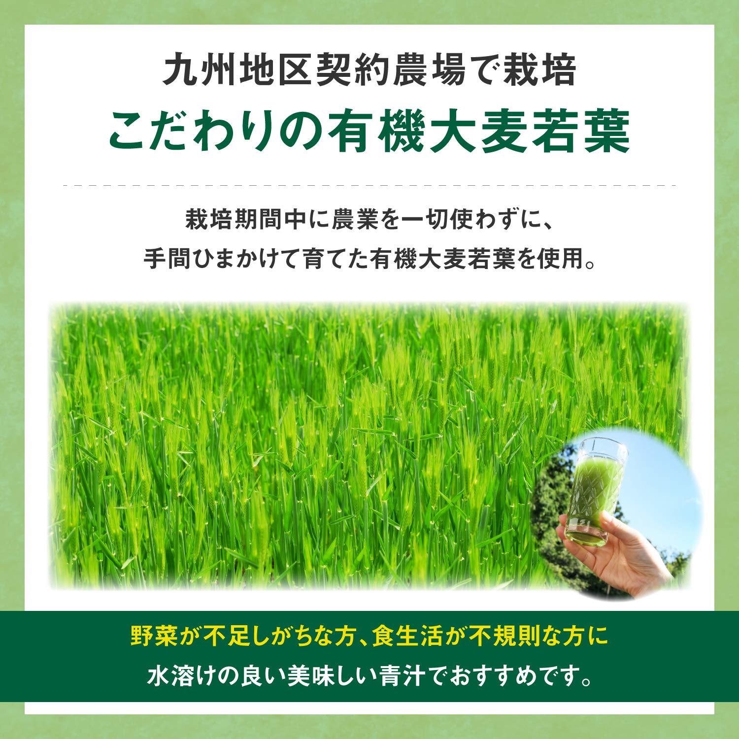 리비타 보리 와카바 녹즙 3g×30봉대 다이쇼 제약 수용성식이 섬유, 칼슘, 올리고당, 세사미 배합 [영양 보조 식품]