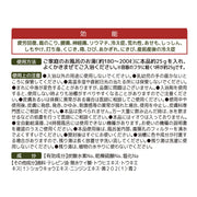 기양 제충 국화