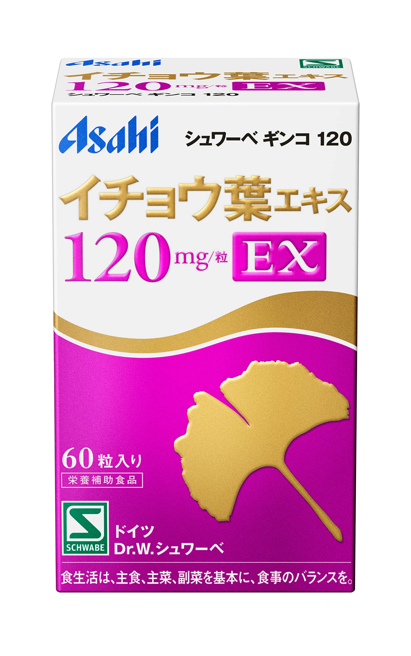 Schwabe Ginkgo Schwabe Ginkgo 120mg EX 60 tablets Asahi Group Foods