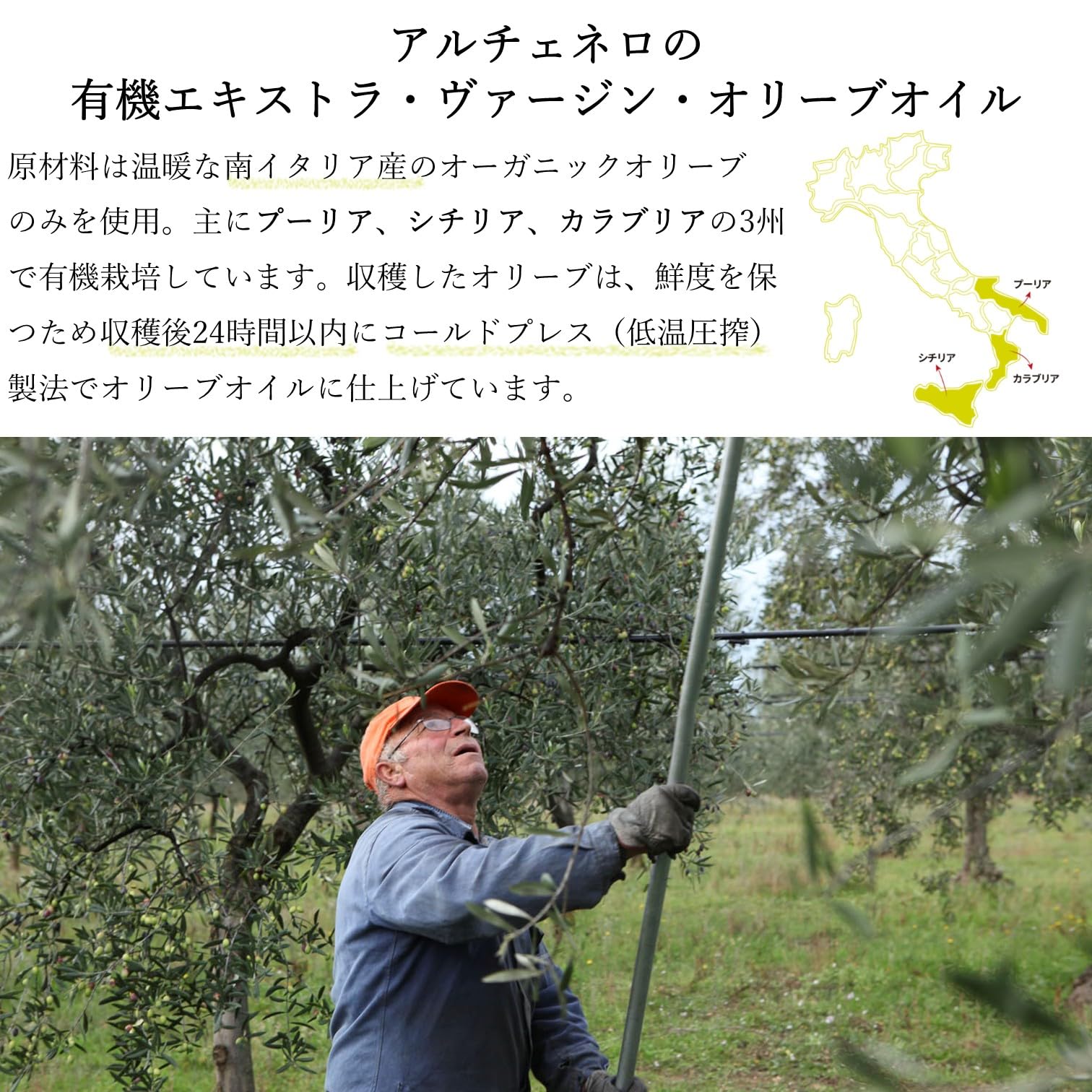 ALCE NERO Organic Extra Virgin Olive Oil Dolce 250ml (Organic Extra Virgin 100% Italian Cold Press)