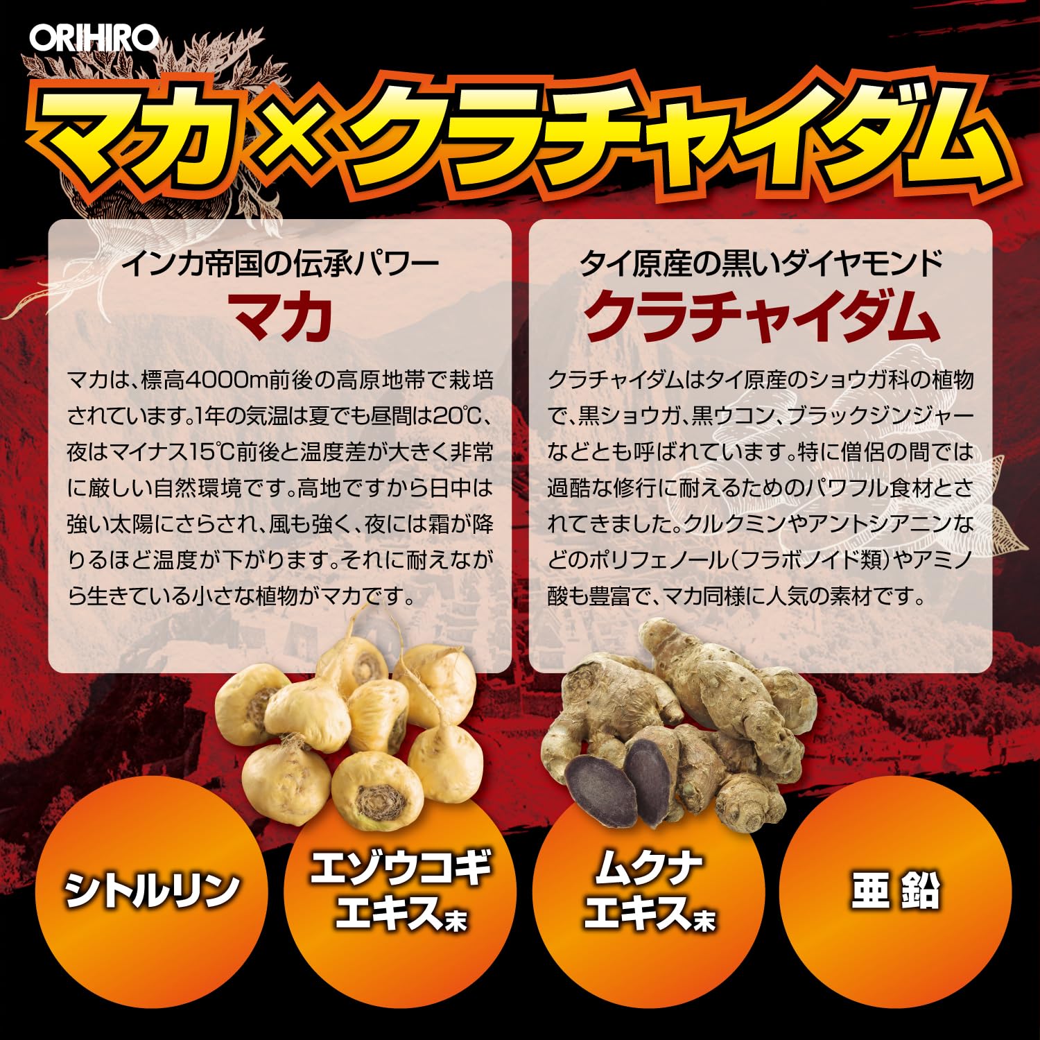 오리히로 마카 크라차이담 100알