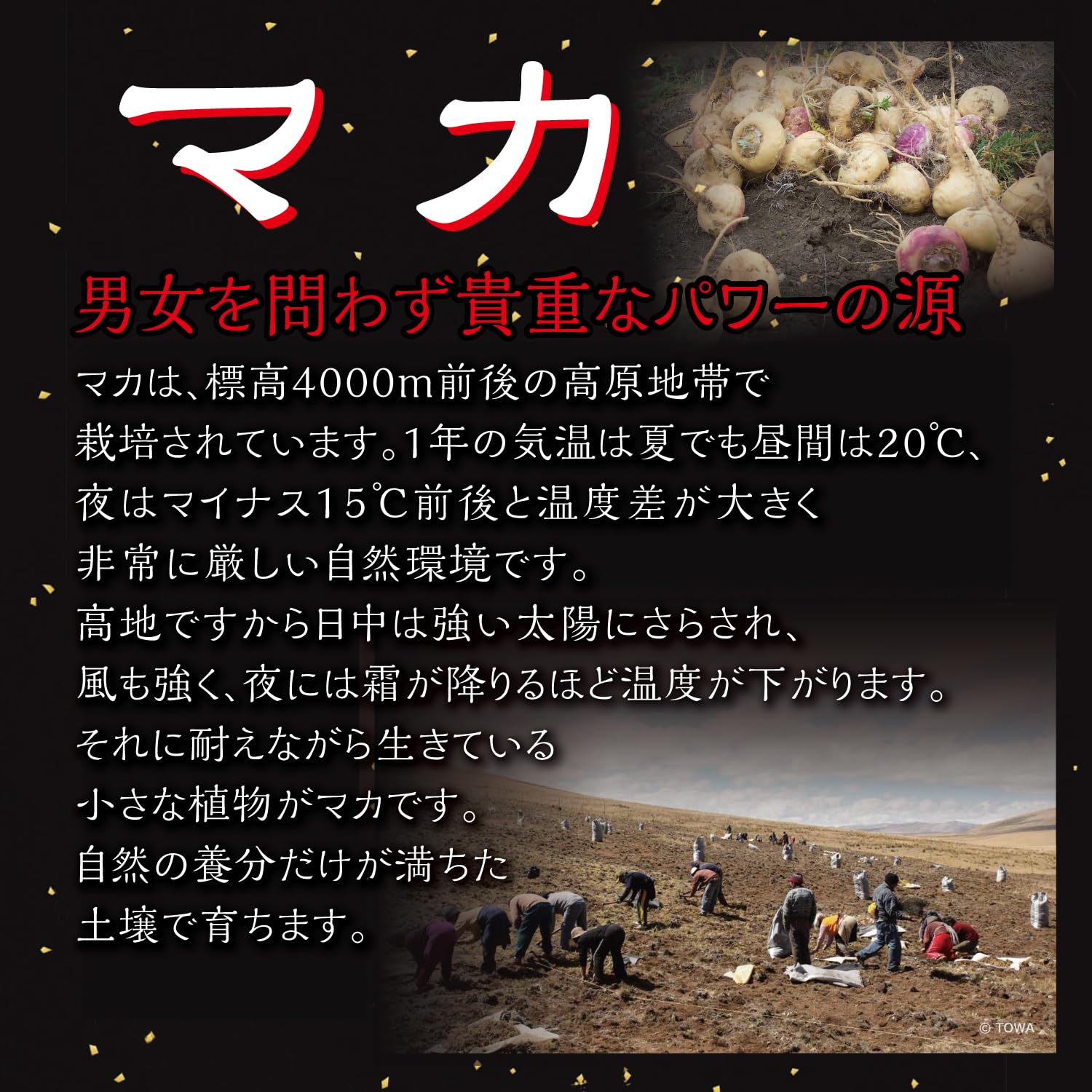 Orihiro 玛卡 Gold Magnum 10000 60 片