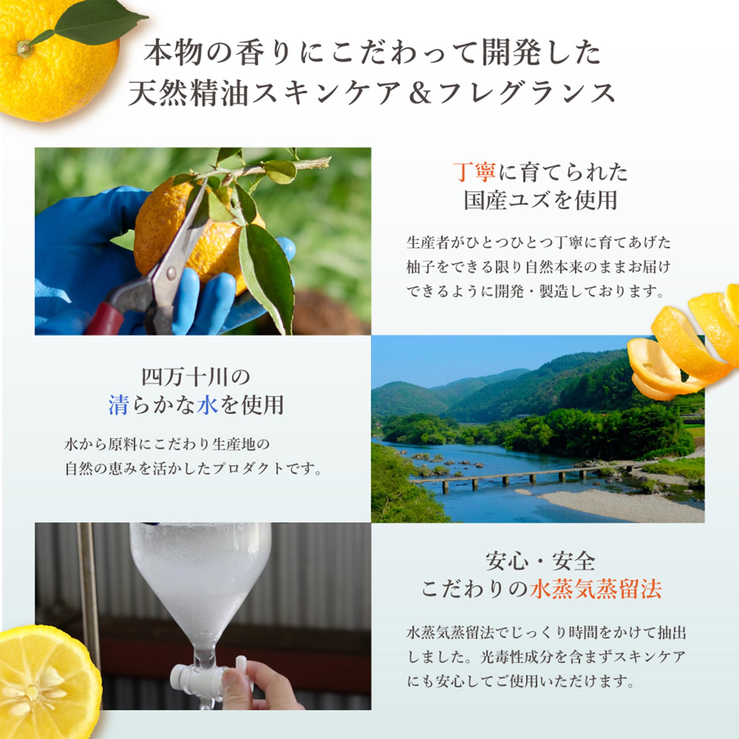 데일리 아로마 고치현 YUZU 핸드 크림 미니 20g | 유자의 향기 데일리 아로마 재팬 국산 일본제 감귤 보습 건조 스킨 케어 자연 유래 감귤
