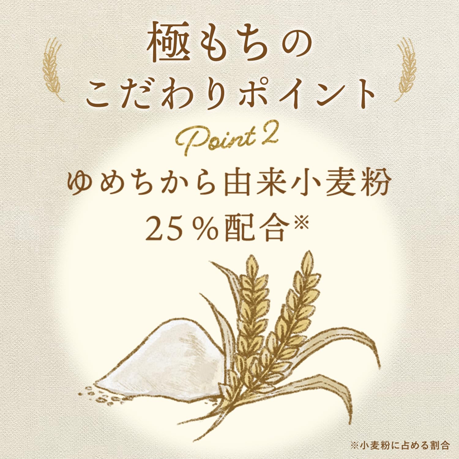 닛신 제분 웰나 핫 케이크 믹스 극 떡 480g (160g × 3개) × 2개 국내 보리 밀가루 100% 사용 핫 케이크
