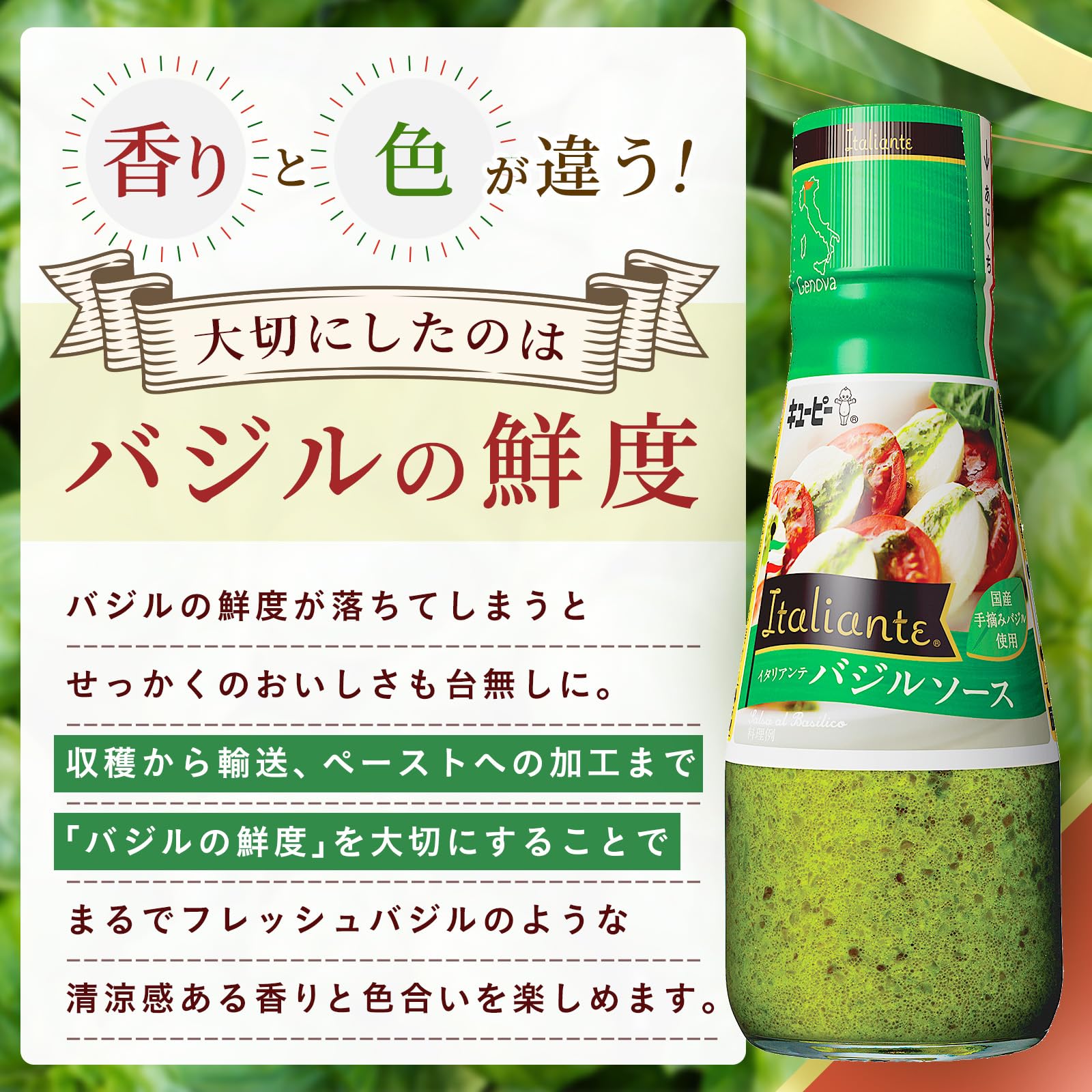 Kewpie Italiante Basil Sauce 150g Italiante Pasta Made with Domestic Hand-Picked Basil