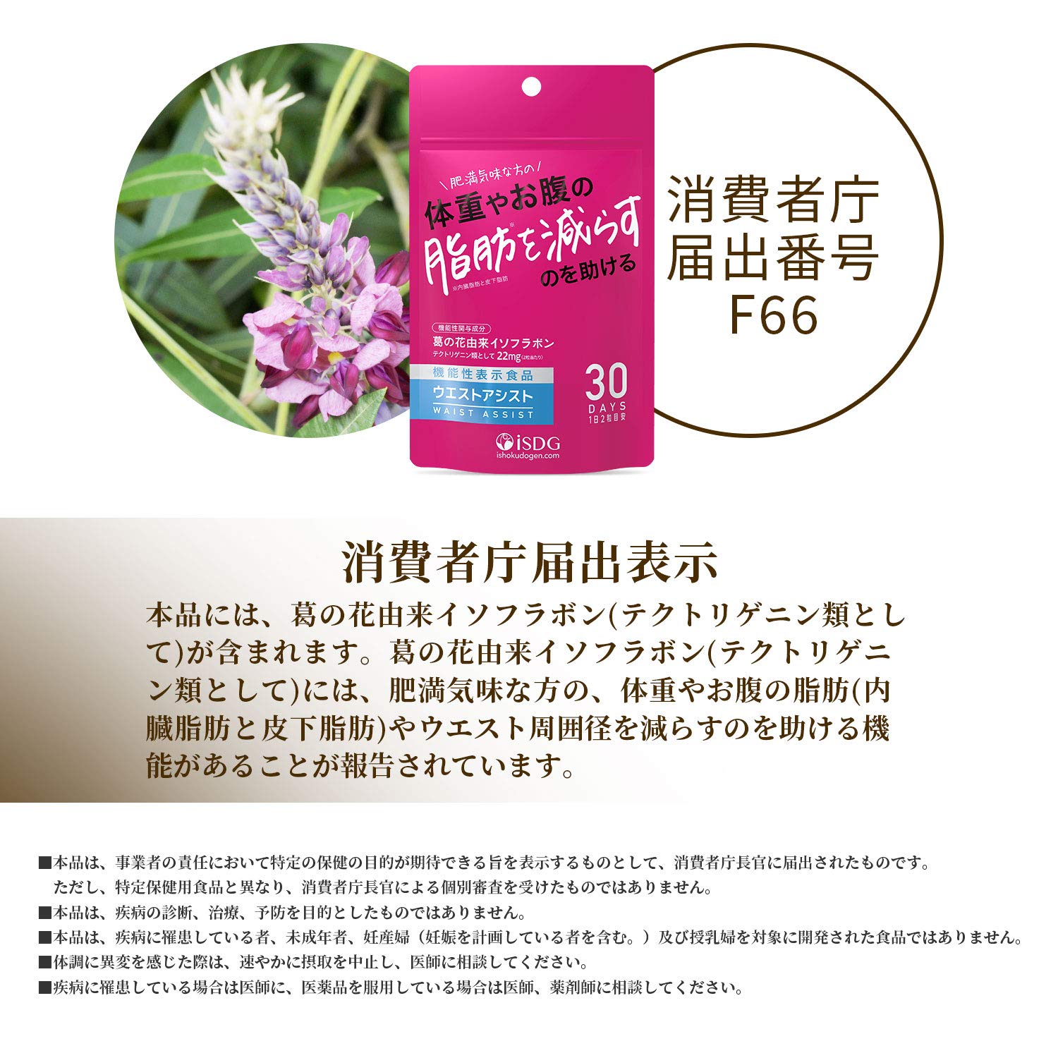 ISDG Ishokudogen.com West Assist 250mg x 60 tablets [Food with functional claims]