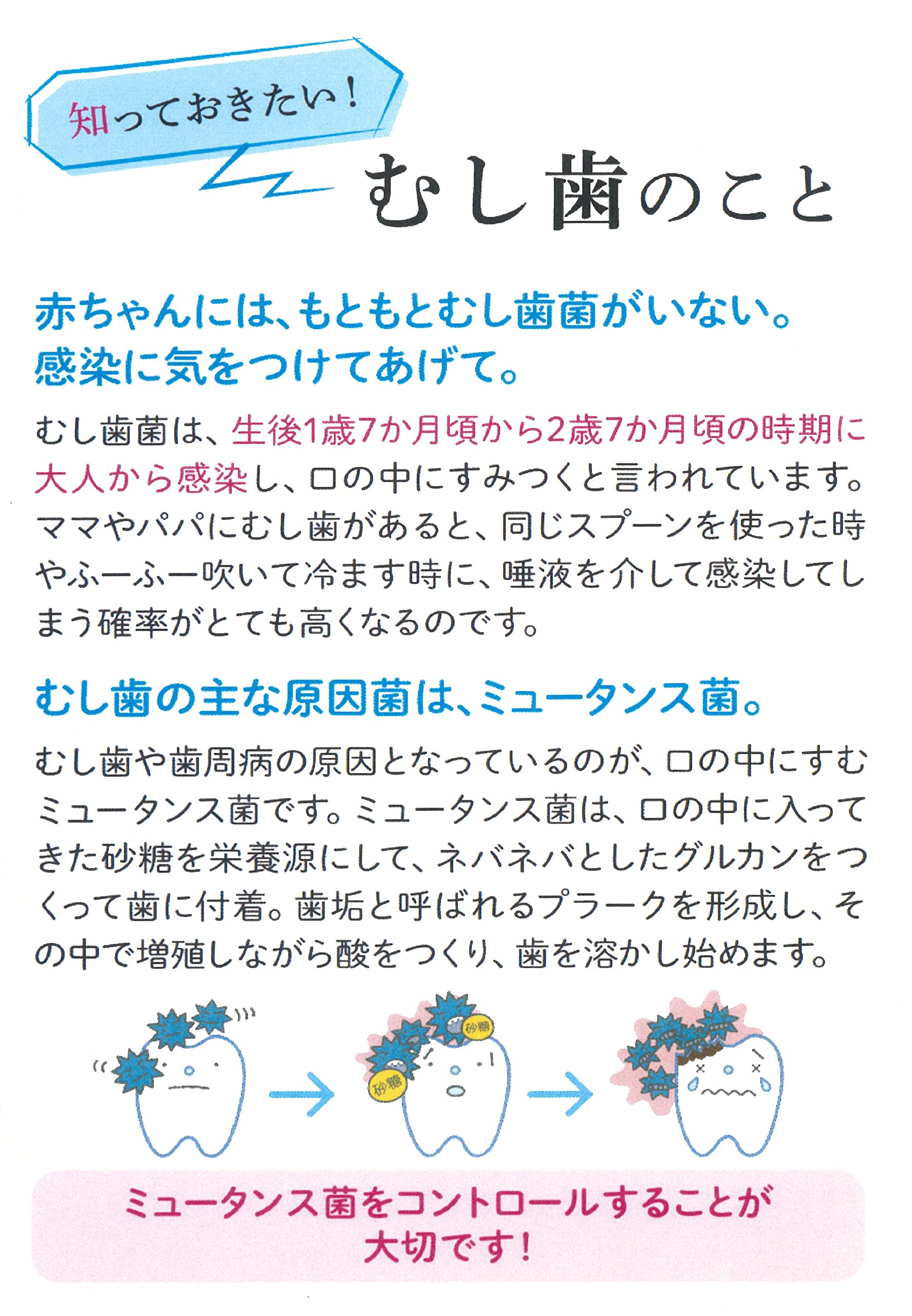 Snow Brand Beanstark Beanstark Hakira Orange 60粒【1岁半左右】