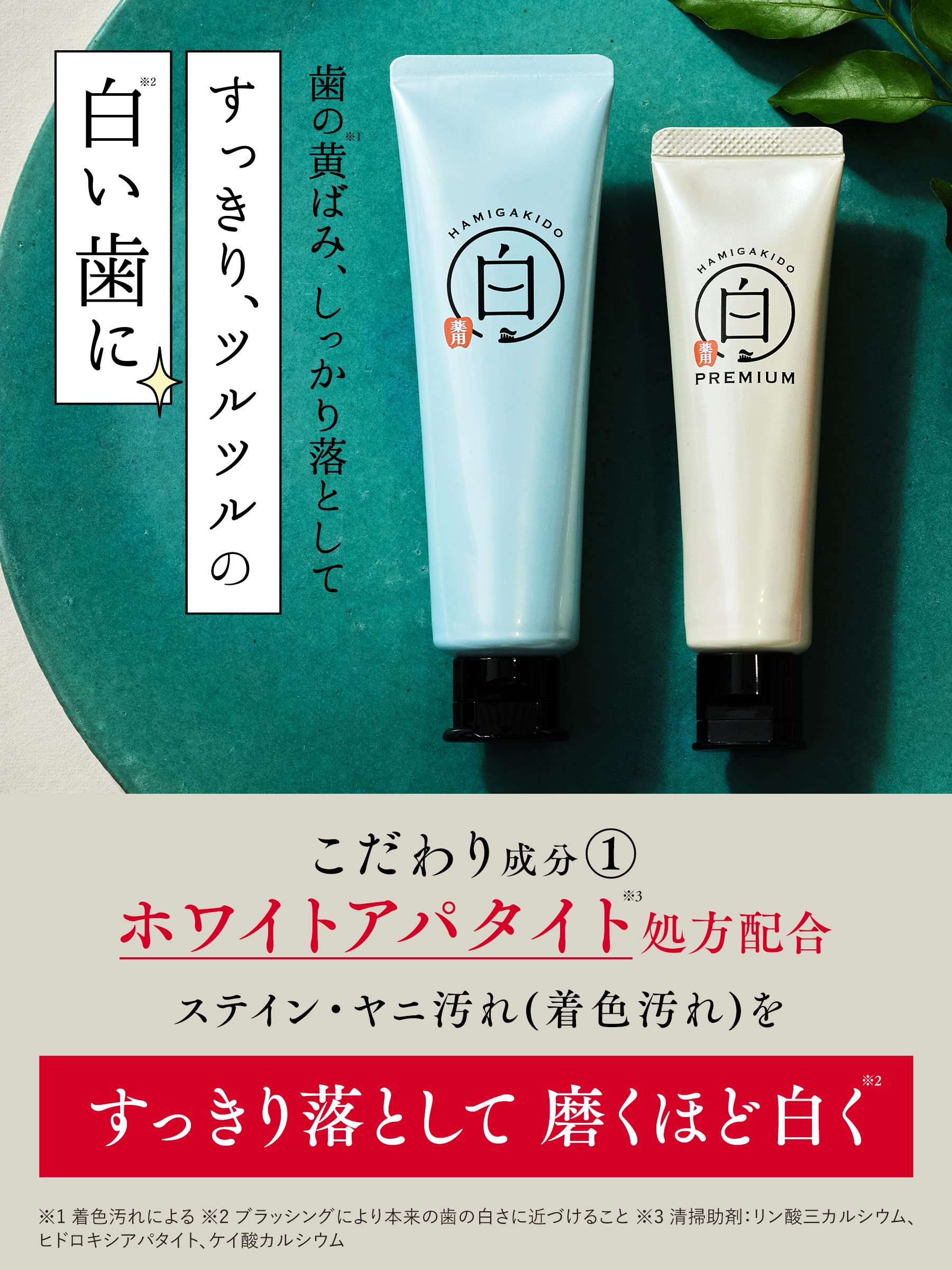 [Quasi-drug] Tobashido Medicated Whitening Paste Fresh Mint Flavor 90g Periodontal Disease Care Toothpaste