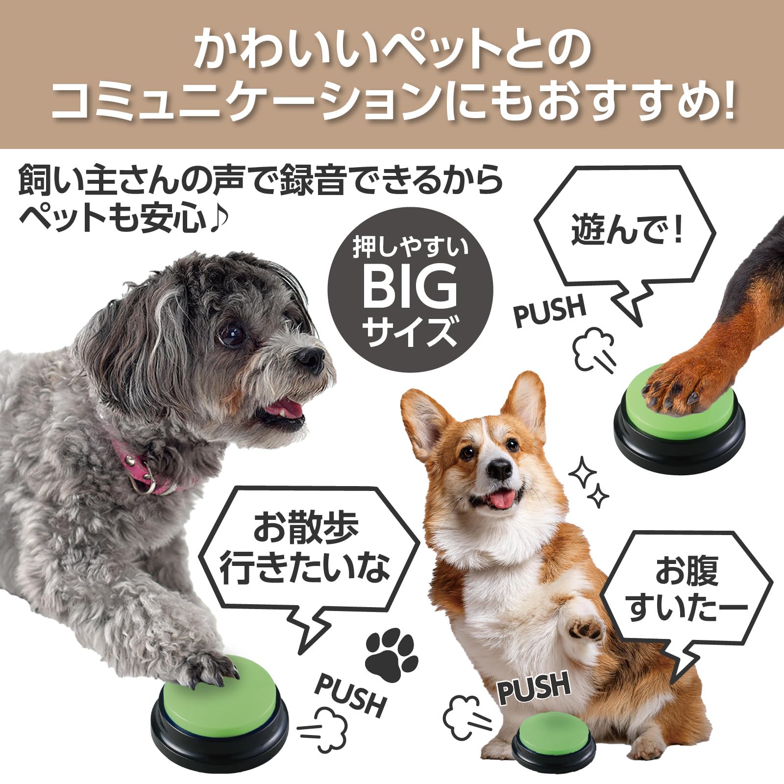 Artec REC Push Green Φ80 x 40mm Children, Elementary School Students, Infants, Teaching Materials, Learning 075224