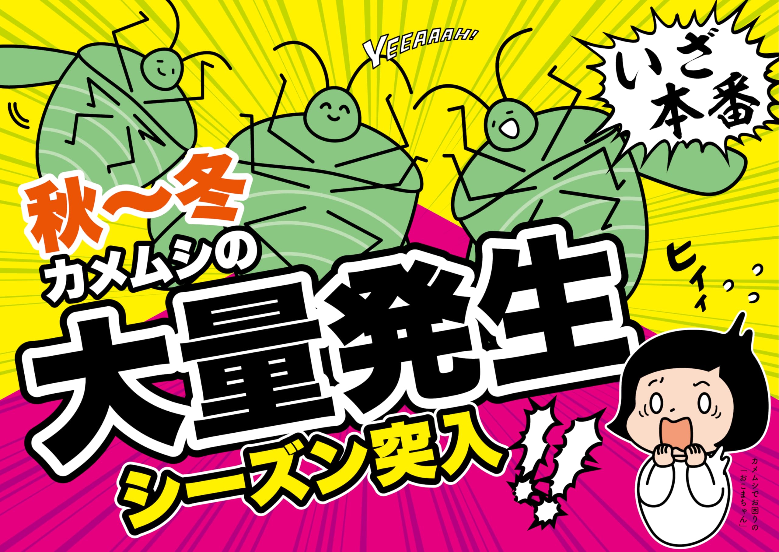 Uplead Farewell!!Kamemushi (Stink Bug Repellent) Pack
