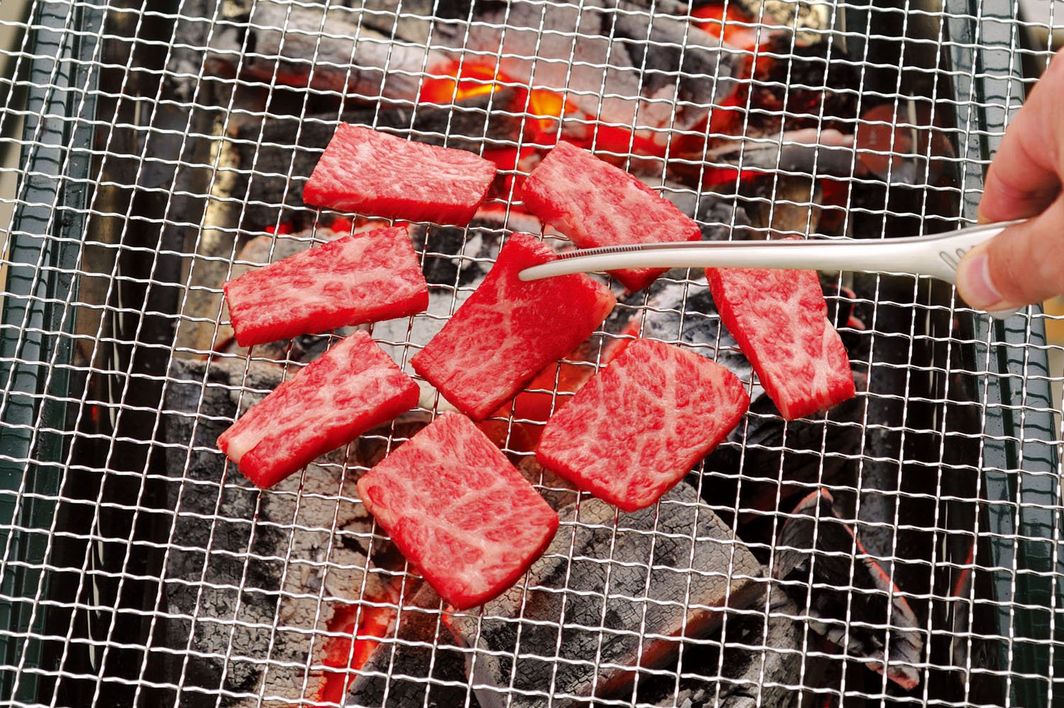 Todai Kẹp Thép Không Gỉ Sản Xuất Tại Nhật Bản Yakiniku Kẹp Yakiniku Pasta Nấu 083372