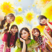 是非に及ばず (Type-C) - 乃木坂46 (特典なし)