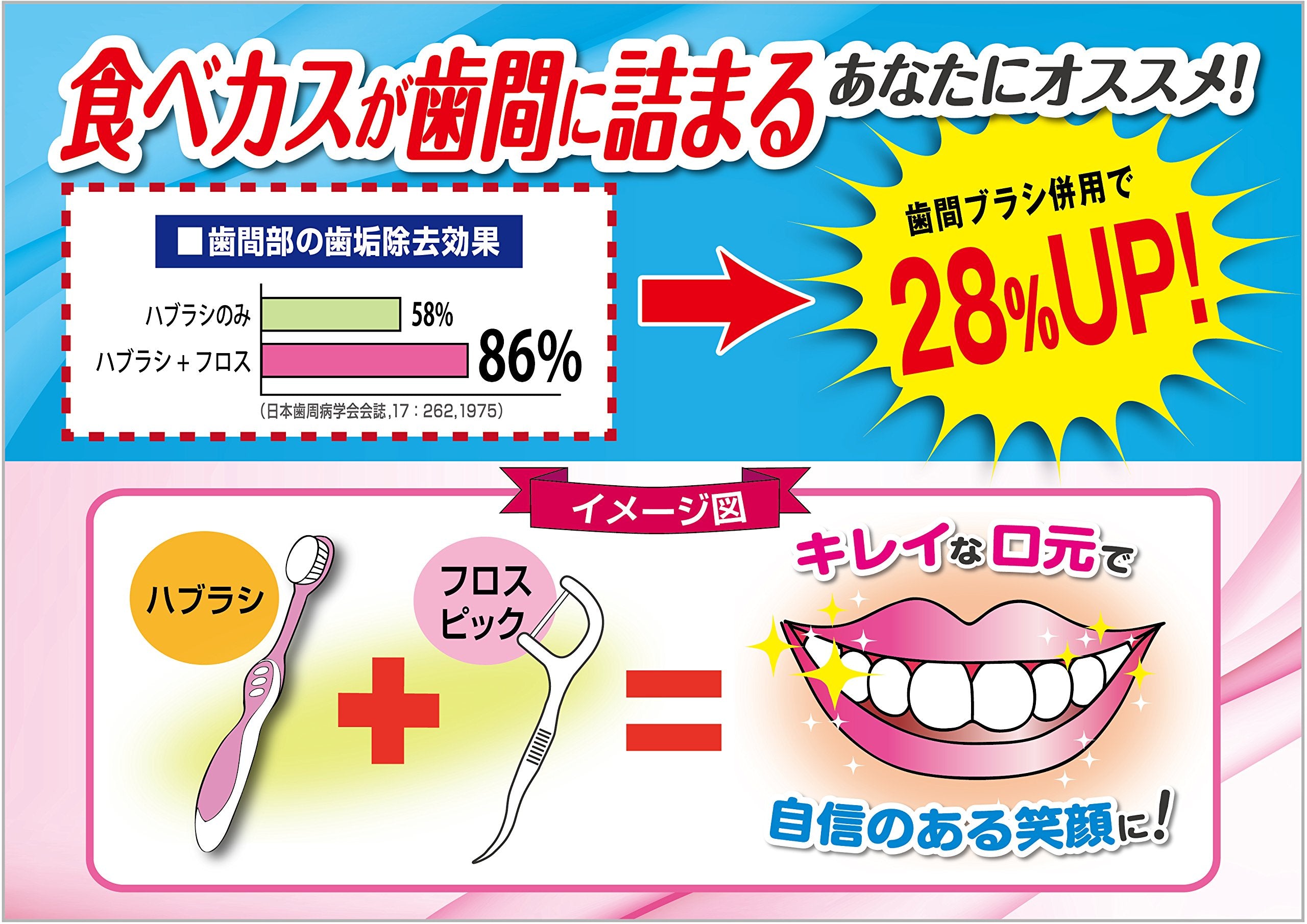 Dental Pro Fresh Floss Pick 50P