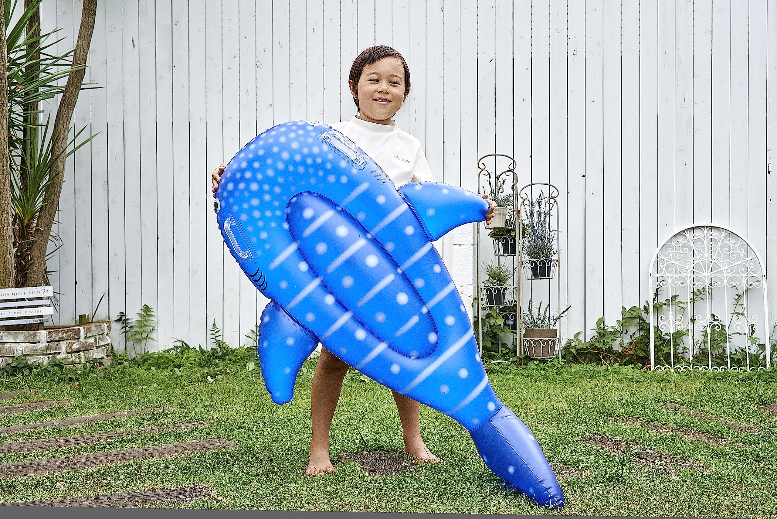 Igarashi Mini Whale Shark Float 130 x 92ซม. FRB-176V