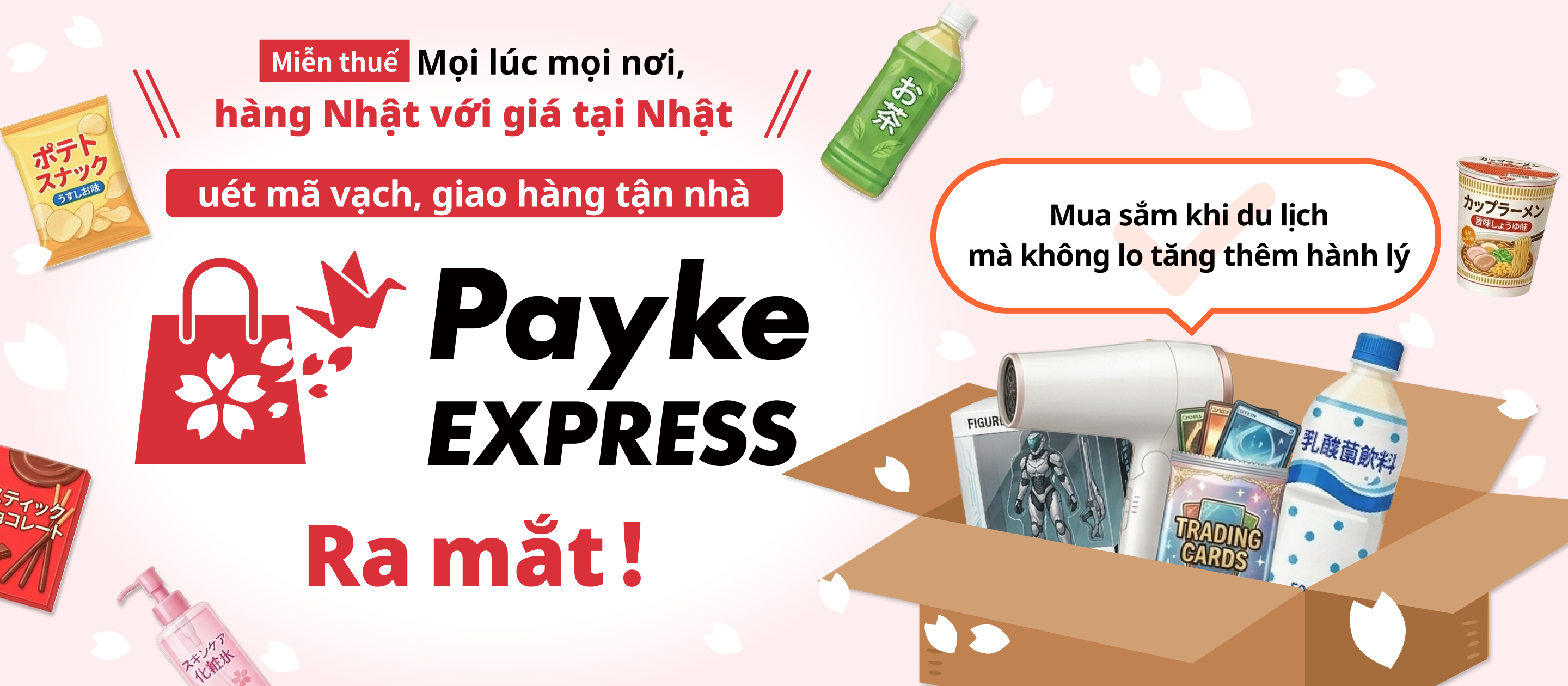 Payke Express